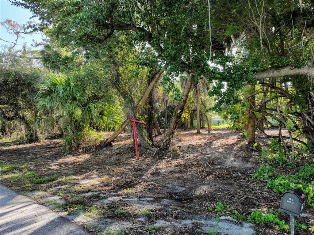 A vacant, wooded lot features a red real estate sign and a roadside mailbox — 2340 FINTONROD STREET, PORT CHARLOTTE, FL