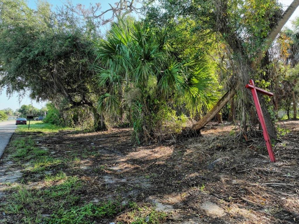 A vacant, wooded lot features a red wooden post and a paved road nearby — 2340 FINTONROD STREET, PORT CHARLOTTE, FL