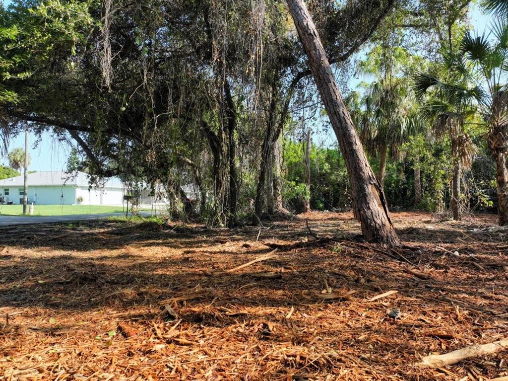 A wooded, partially cleared residential lot features mature trees and a neighboring house in view — 2340 FINTONROD STREET, PORT CHARLOTTE, FL