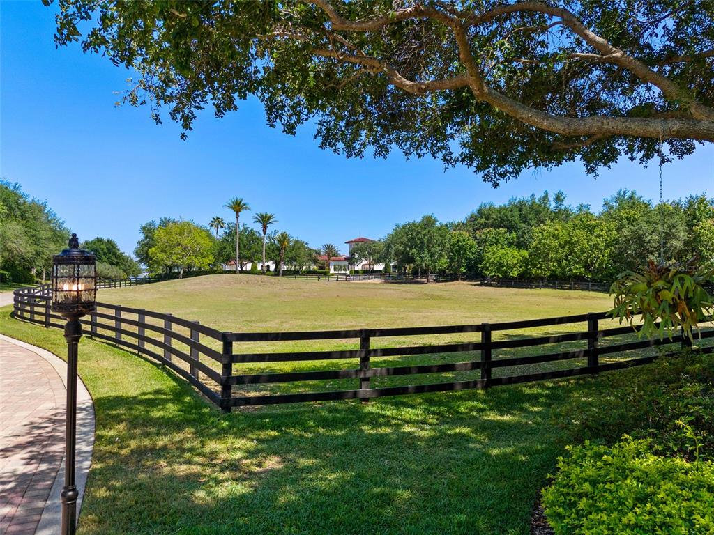 A black fence encloses a grassy field with trees and a house in the distance — 11865 FORT KING HIGHWAY, THONOTOSASSA, FL