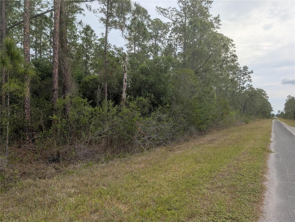 A paved road runs alongside a wooded lot with dense trees and brush — 320 ALBA DRIVE, INDIAN LAKE ESTATES, FL