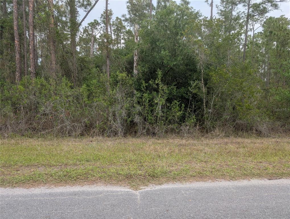 A view of a vacant, wooded lot from an adjacent paved road — 320 ALBA DRIVE, INDIAN LAKE ESTATES, FL