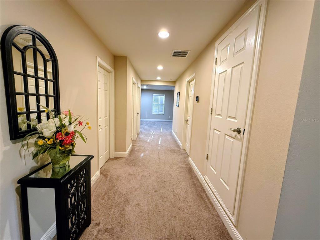 A carpeted hallway features a black console table, a decorative wall mirror, and several doors — 2468 WHITTLER BRANCH, ODESSA, FL