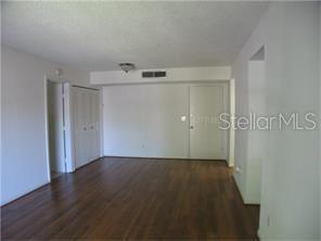 An empty room with wood-look flooring, white walls, a closet, and a ceiling light fixture — 801 RUSSELL LANE UNIT 254, BRANDON, FL