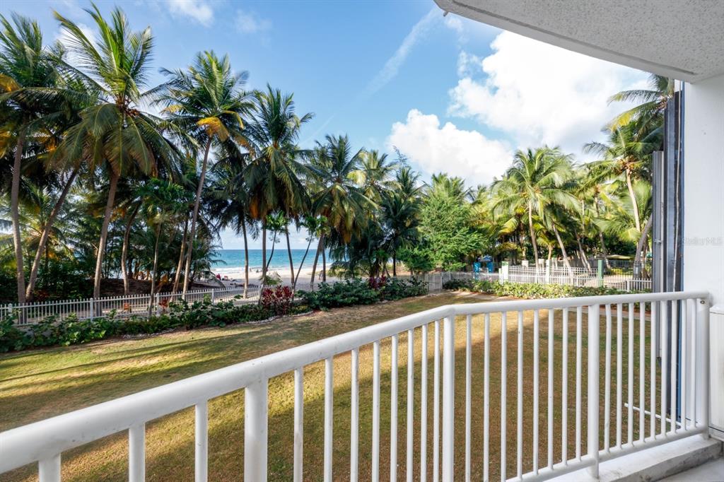A balcony overlooks a grassy lawn, palm trees, a white fence, and the ocean — 4633 AV. ISLA VERDE UNIT 105, CAROLINA, PR