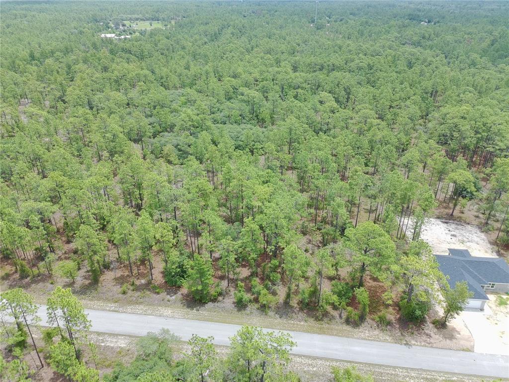 An aerial view shows a paved road bordering a large, wooded lot with a house — SW BUENA VISTA ROAD, DUNNELLON, FL