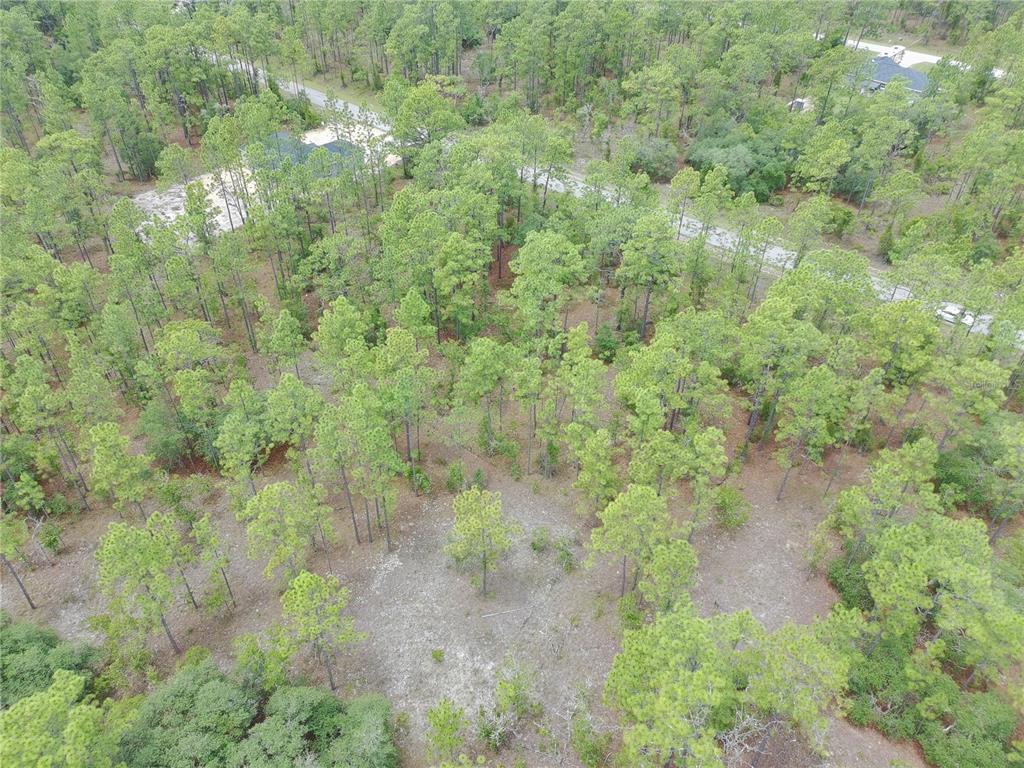 An aerial view shows a wooded lot with scattered pine trees and sandy ground — SW BUENA VISTA ROAD, DUNNELLON, FL