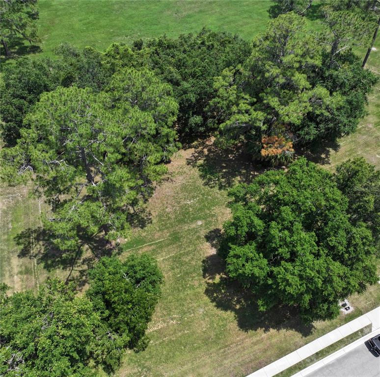 6703 SW 40TH TERRACE, GAINESVILLE, FL — photo 3 of 5