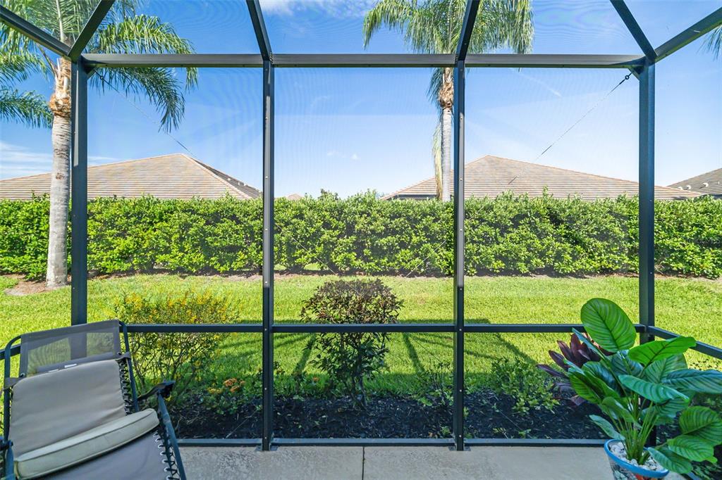 A screened-in patio overlooks a grassy backyard with a tall hedge and palm trees — 5437 CHATHAM SQUARE WAY, BRADENTON, FL