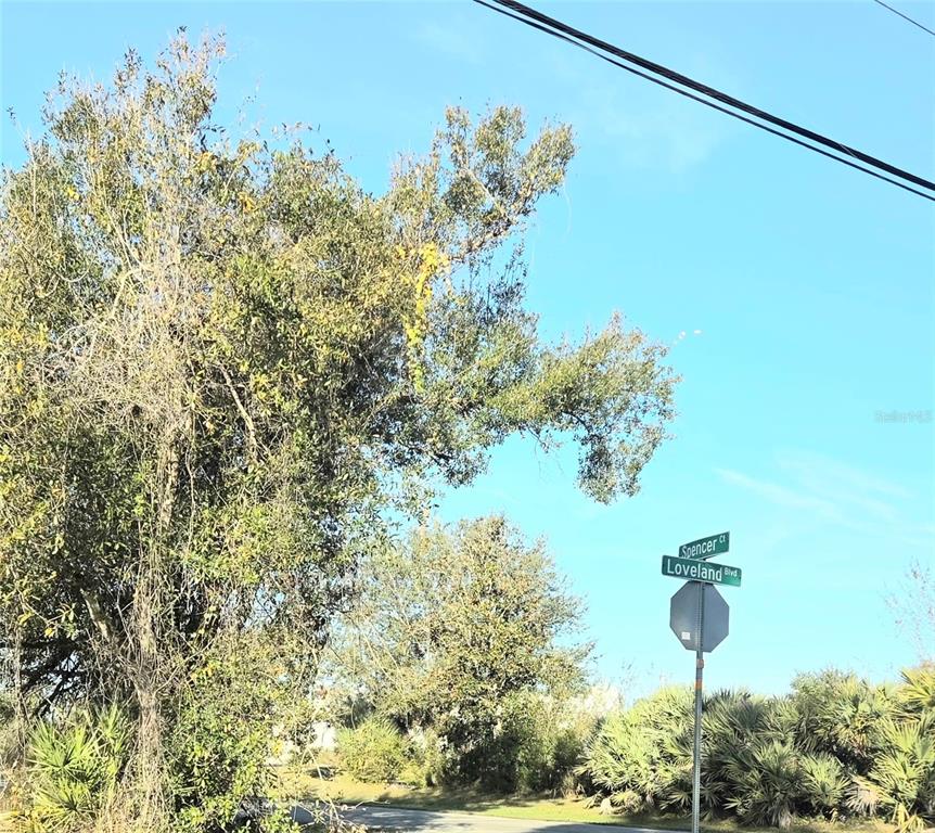 A street sign for Spencer Court and Loveland Boulevard stands near a large, leafy tree — 23507 SPENCER COURT, PUNTA GORDA, FL