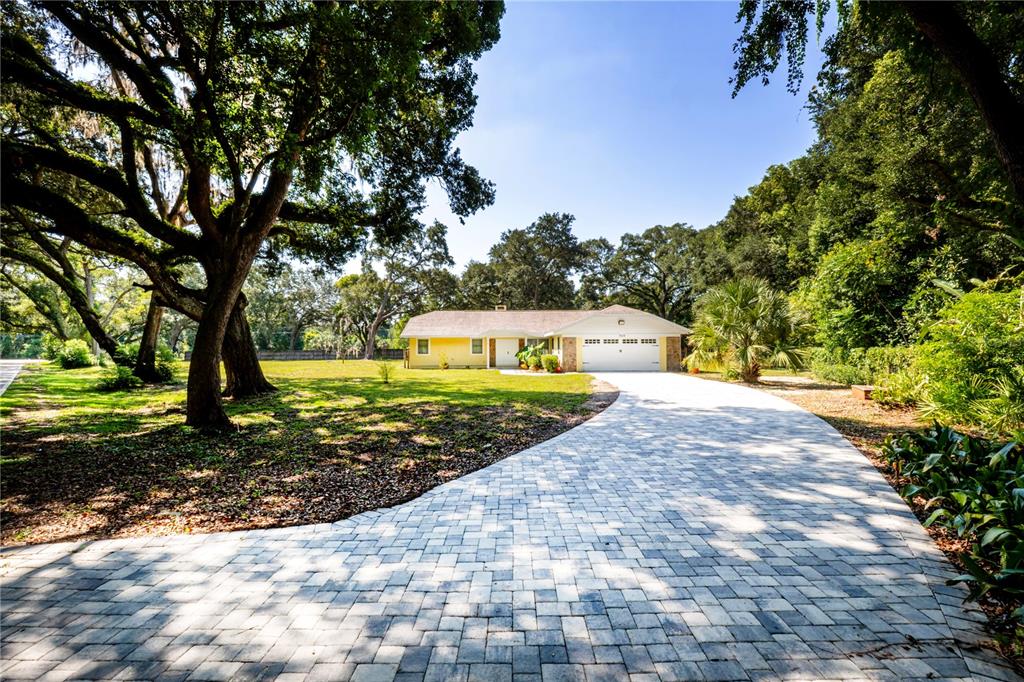 7838 SLOEWOOD DRIVE, MOUNT DORA, FL — photo 3 of 29