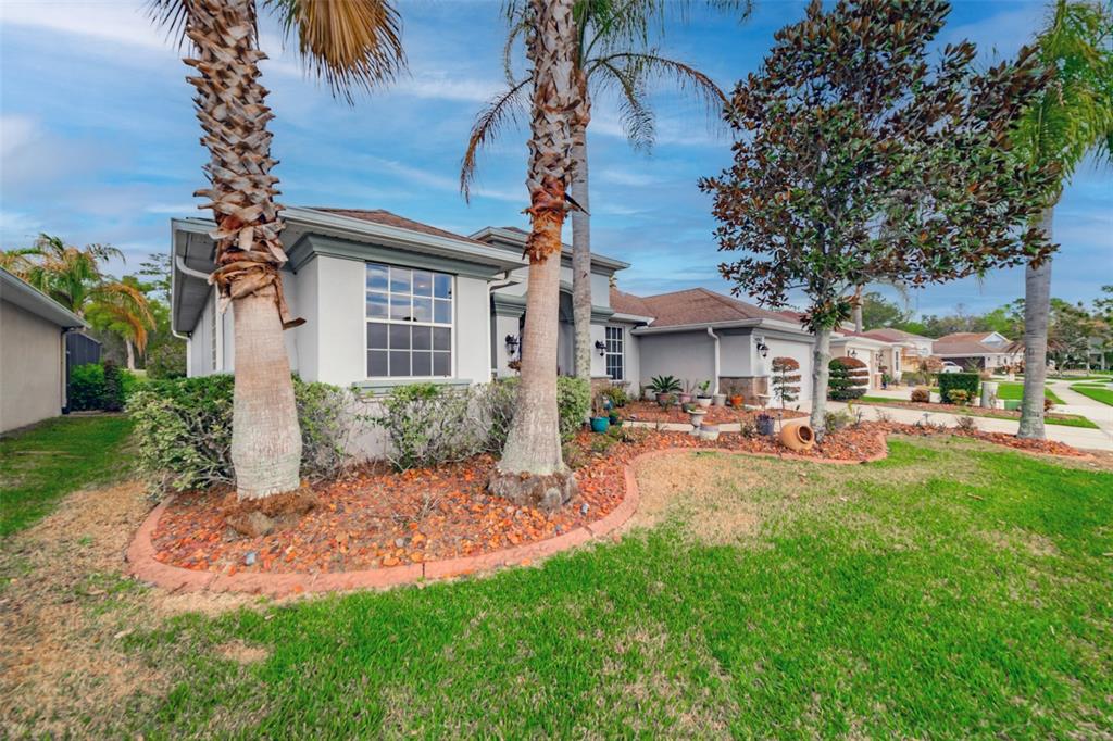 A single-story house exterior with palm trees, a landscaped front yard, and a paved driveway — 4347 GEVALIA DRIVE, BROOKSVILLE, FL