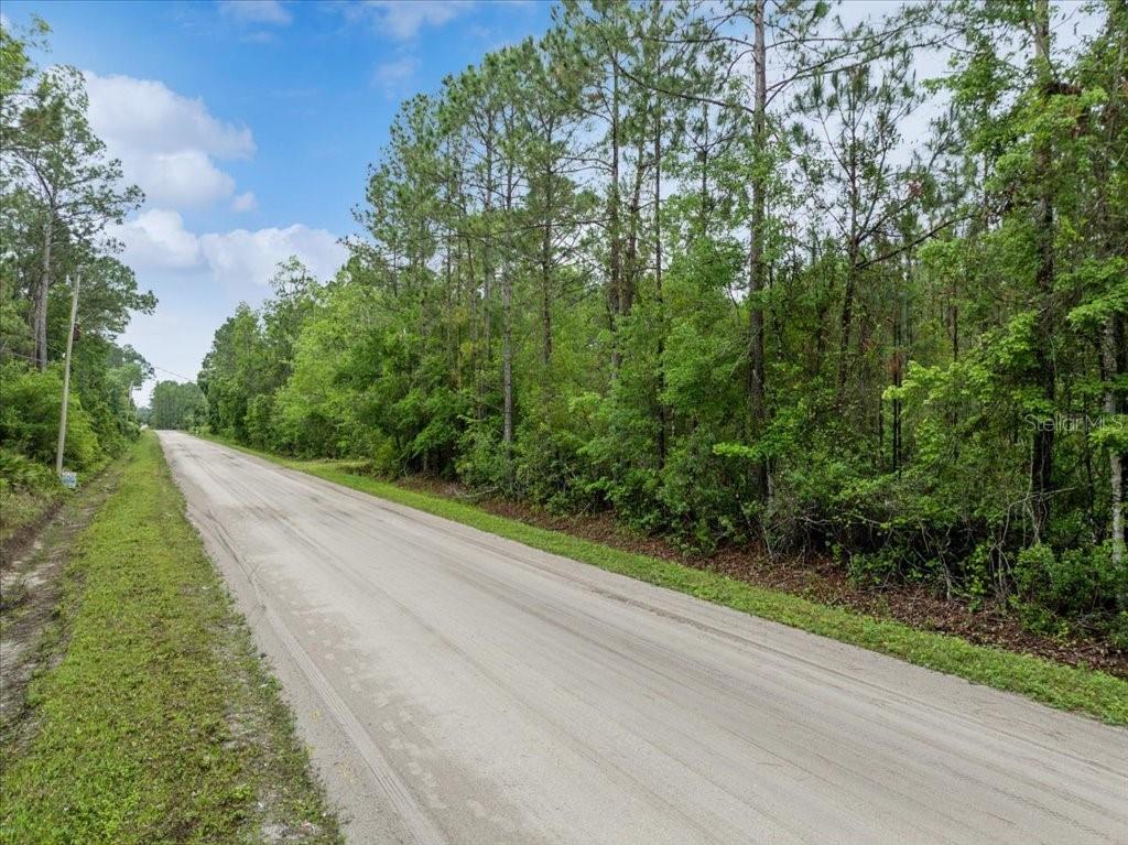 1756 HAZELNUT STREET, BUNNELL, FL — photo 2 of 8