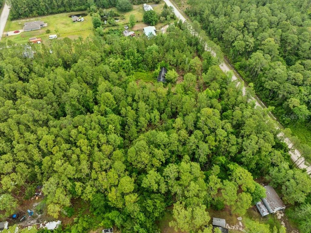 1756 HAZELNUT STREET, BUNNELL, FL — photo 4 of 8