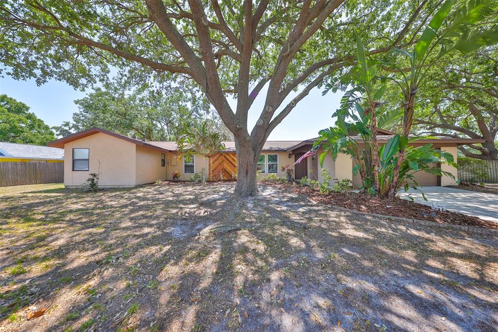 601 CEDAR GROVE DRIVE