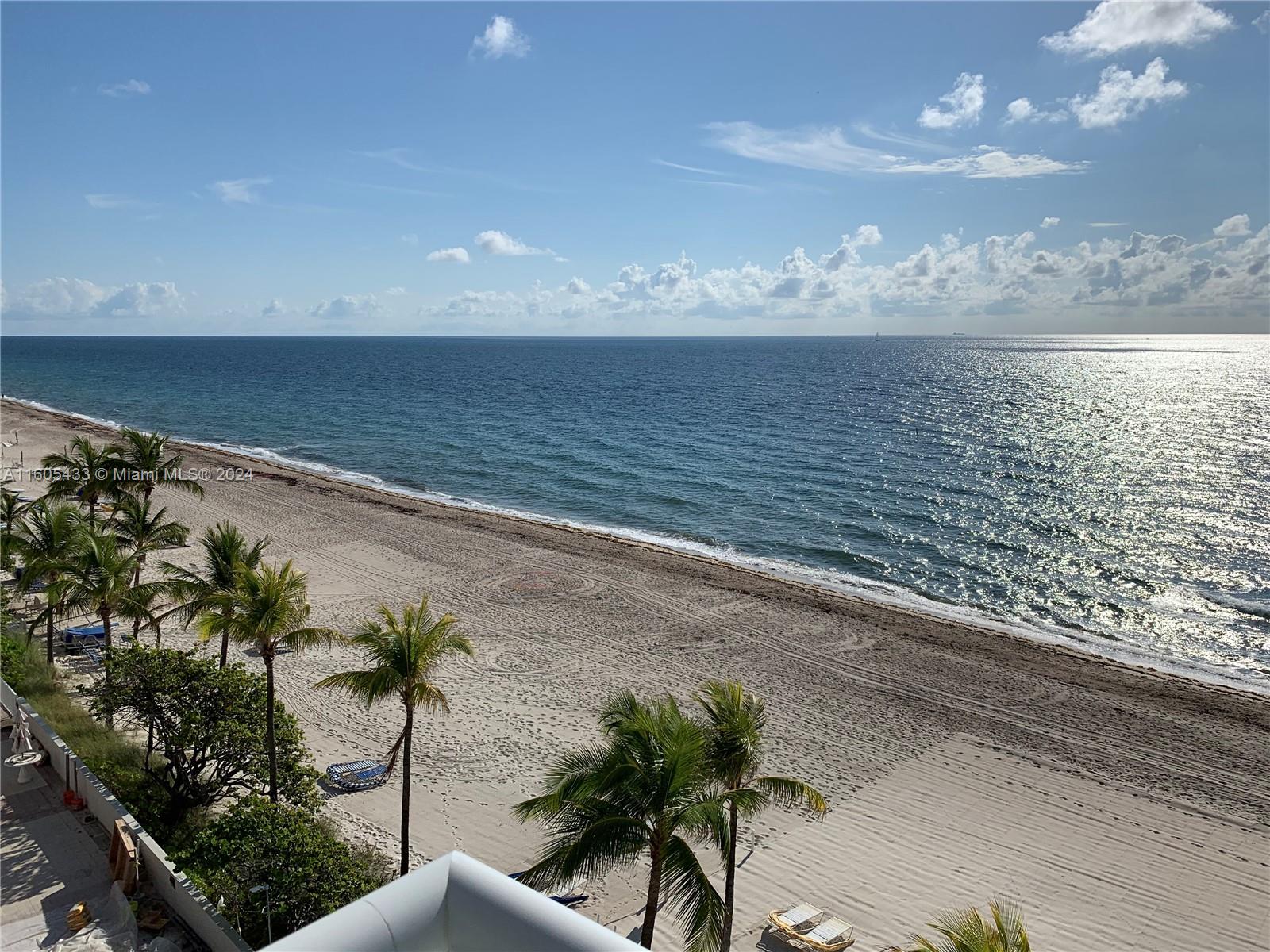 An elevated view of a sandy beach with palm trees and the ocean — FORT LAUDERDALE, FL
