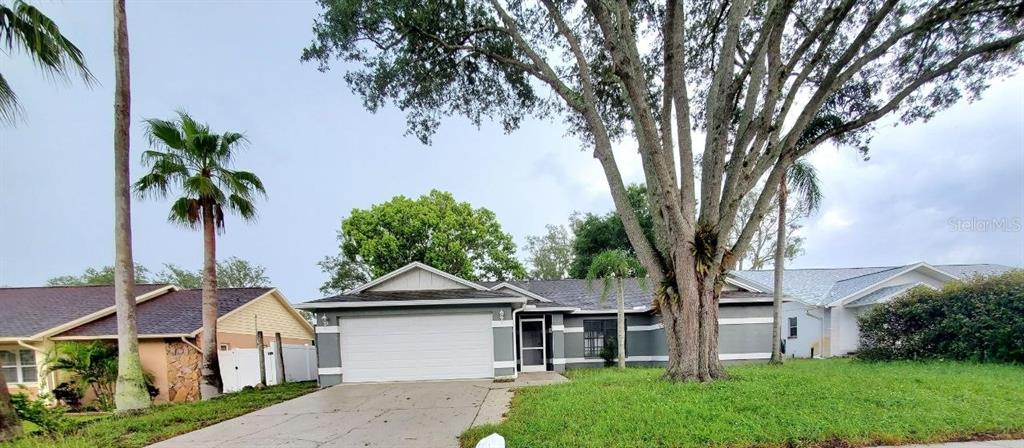 A single-story house with a gray exterior, a two-car garage, and a large tree — 7432 CANVASBACK DRIVE, NEW PORT RICHEY, FL
