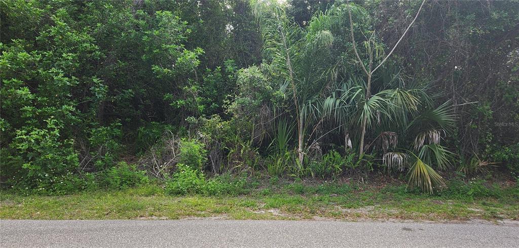 A dense, wooded vacant lot sits behind a paved road — 409 VERONA STREET, PORT CHARLOTTE, FL