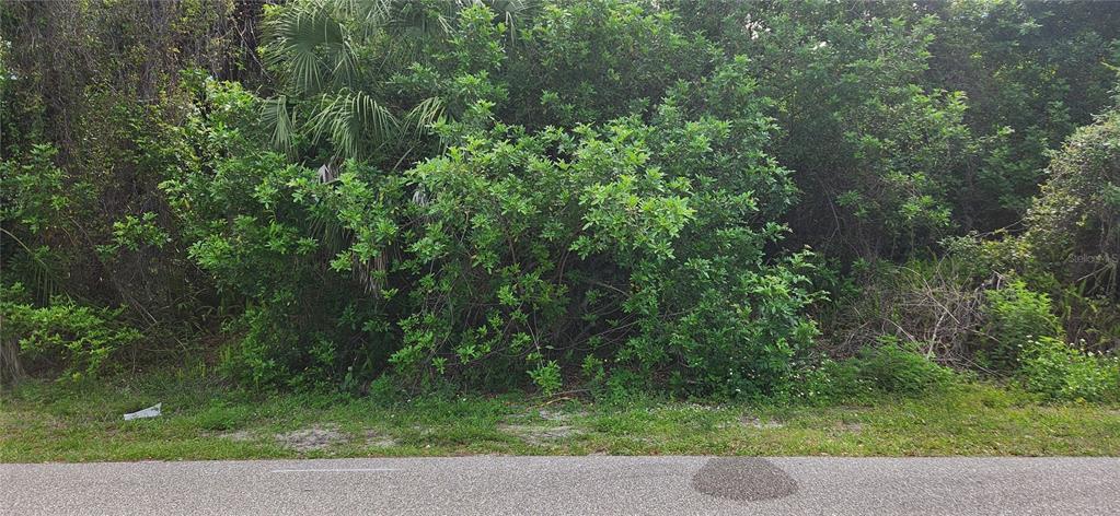 A view of a densely wooded, undeveloped residential lot from the edge of a road — 409 VERONA STREET, PORT CHARLOTTE, FL