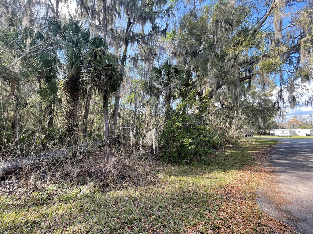 TBD SE 40TH LOOP, OCALA, FL — photo 2 of 2