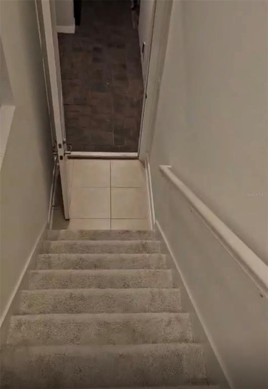 A carpeted staircase leads down to a doorway opening into a tiled floor area — 14978 LEBEAU LOOP, WINTER GARDEN, FL