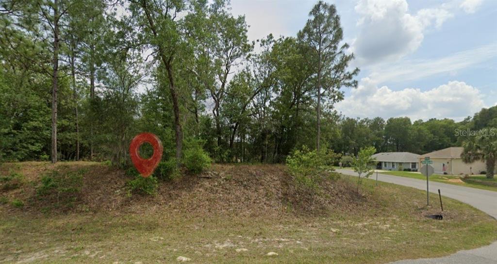 A vacant, wooded lot with a red location pin marker sits beside a paved road — 0 SW 198TH CIRCLE, DUNNELLON, FL