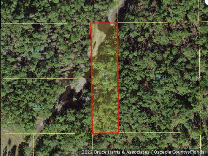 An aerial map view shows a rectangular plot of land outlined in red amidst forest — HOLOPAW GROVES ROAD, ST CLOUD, FL