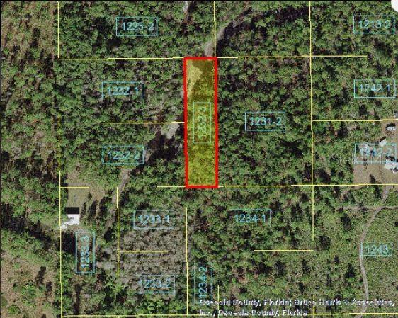 An aerial map shows a rectangular parcel of land highlighted in red among wooded lots — HOLOPAW GROVES ROAD, ST CLOUD, FL