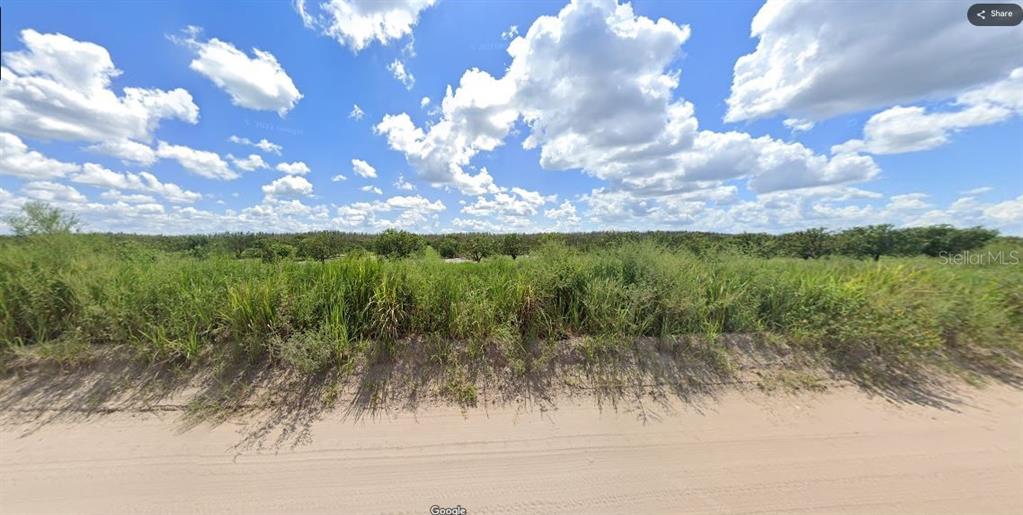 A dirt road runs in front of a vacant, grassy lot with scattered trees — HOLOPAW GROVES ROAD, ST CLOUD, FL