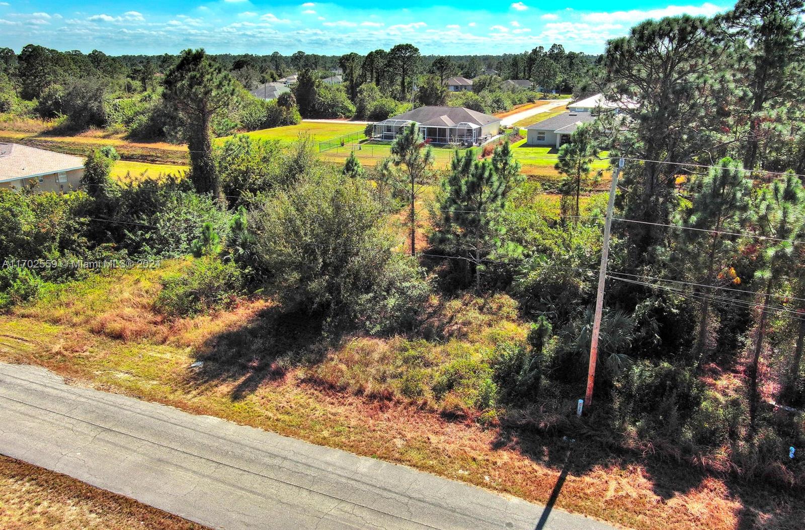 An aerial view shows a vacant, wooded residential lot adjacent to a paved road — 844 Carbon St E, Lehigh Acres FL 33974, LEHIGH ACRES, FL
