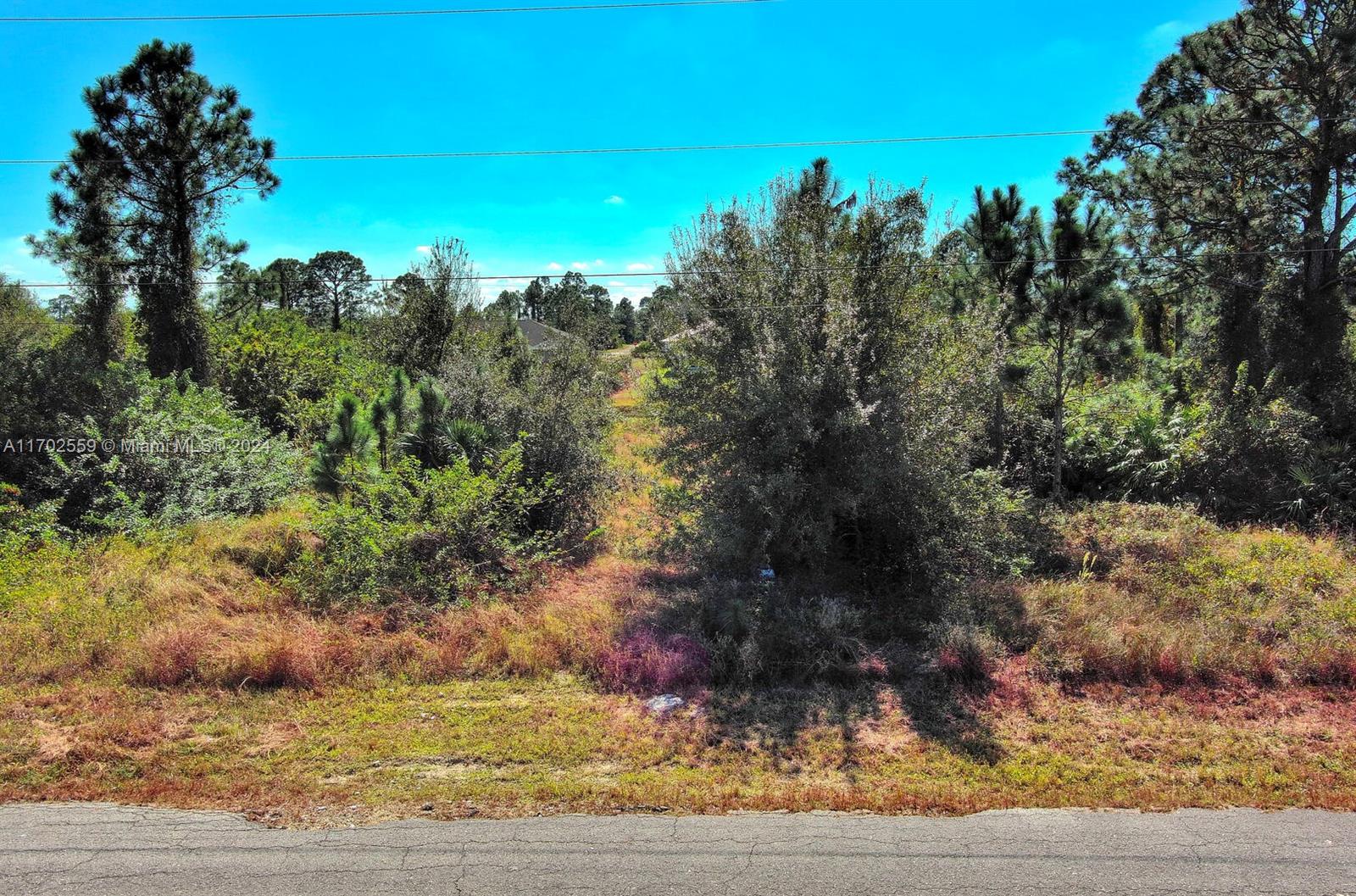 An overgrown, vacant lot with trees and brush sits along a paved road — 844 Carbon St E, Lehigh Acres FL 33974, LEHIGH ACRES, FL