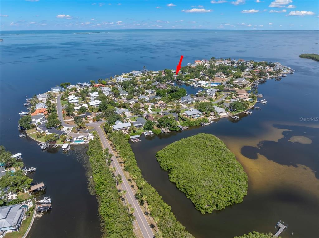 An aerial view shows a residential neighborhood on a peninsula surrounded by water — 121 CARLYLE DRIVE, PALM HARBOR, FL