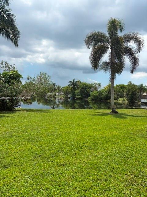 A grassy lawn leads to a small lake surrounded by trees and a palm tree — 2741 N Pine Island Rd # 109, Sunrise FL 33322, SUNRISE, FL