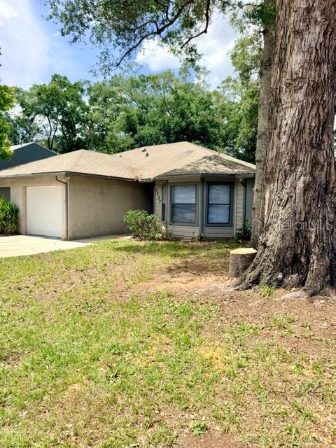 A single-story house with a tan exterior, a garage, and a large tree in front — 5627 GREATPINE LANE N, JACKSONVILLE, FL