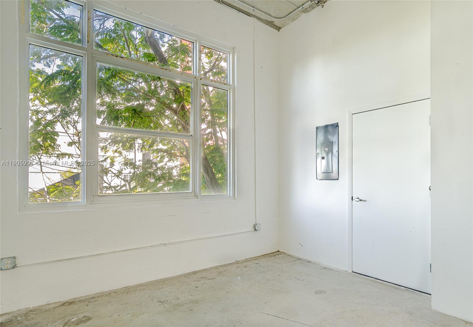 An empty room features white walls, a large window with tree views, and a metal door — 250 NW 23rd # 202, Miami FL 33127, MIAMI, FL