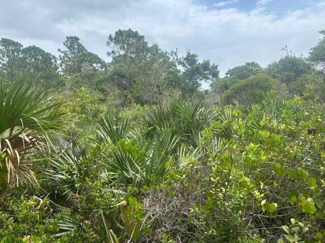 A dense, undeveloped lot featuring native Florida vegetation, including saw palmettos and various trees — 0 Turnpike Feeder Road, Fort Pierce FL 34945, FORT PIERCE, FL