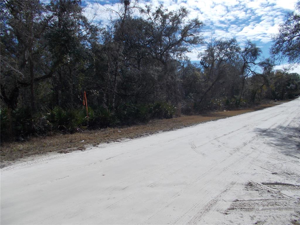 A dirt road runs alongside a wooded lot with an orange survey marker — 0000 NE 836TH STREET, OLD TOWN, FL