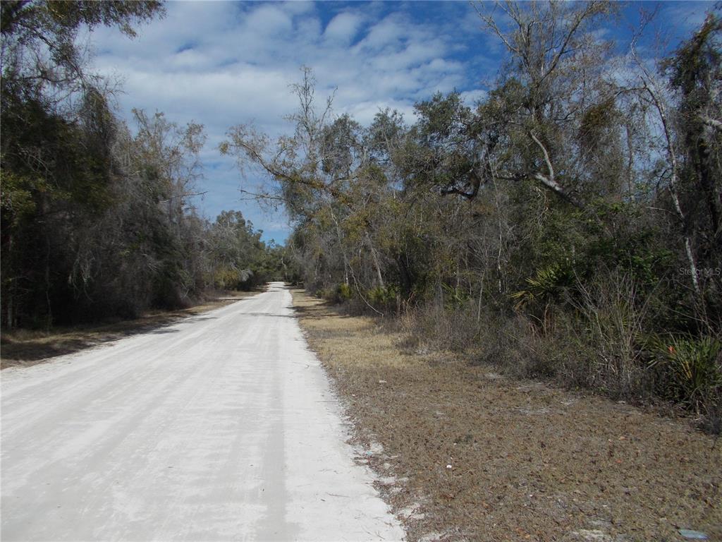 A dirt road stretches through a wooded area under a partly cloudy sky — 0000 NE 836TH STREET, OLD TOWN, FL