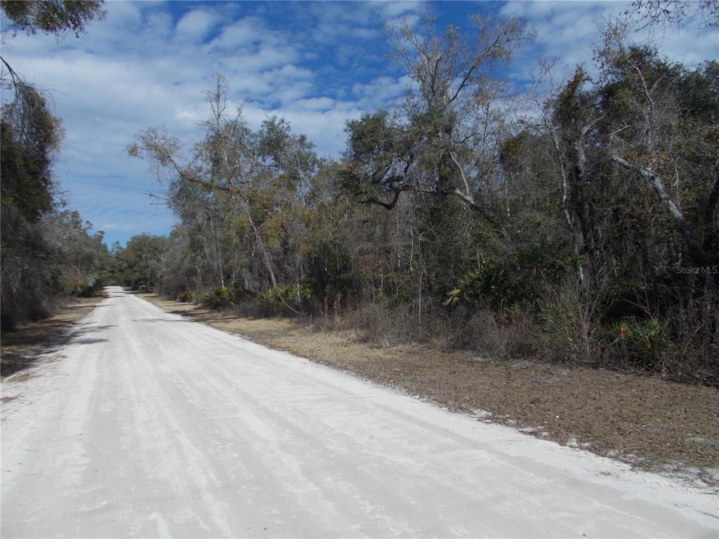 A dirt road runs alongside a dense forest of trees and brush — 0000 NE 836TH STREET, OLD TOWN, FL