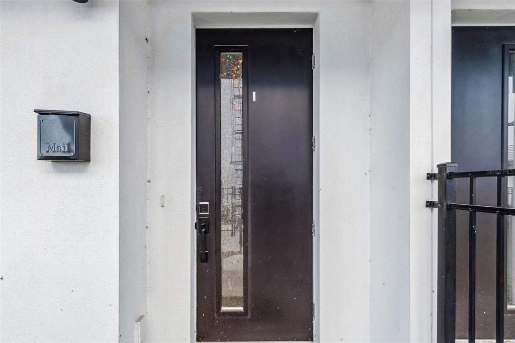 A dark brown front door with a vertical glass panel sits beside a black mailbox — 2724 5TH AVENUE S, ST PETERSBURG, FL