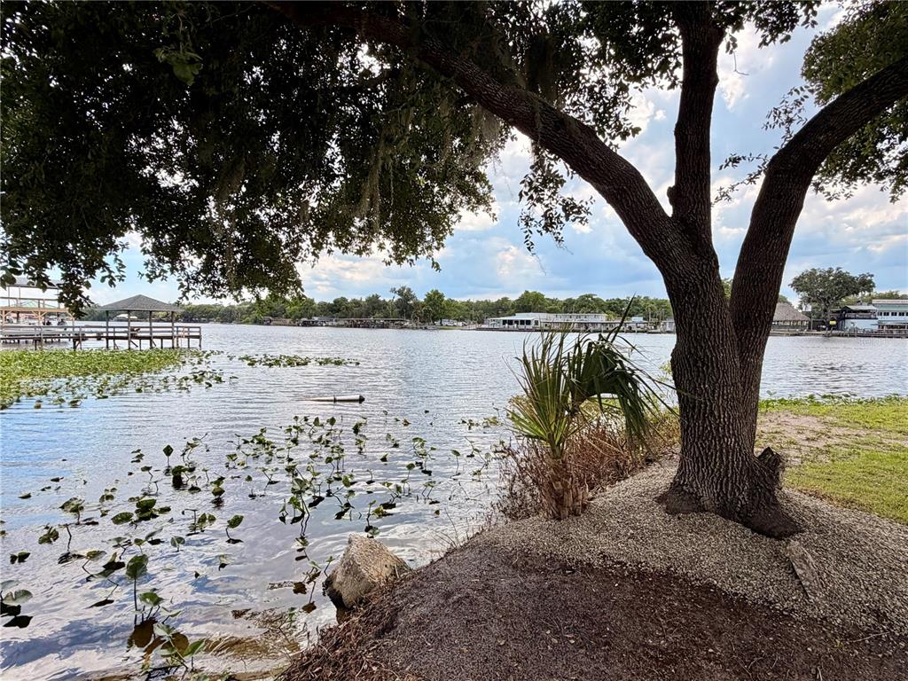 A view of a lake from a shoreline with a large tree and dock — 1570 RIVEREDGE COURT, ASTOR, FL