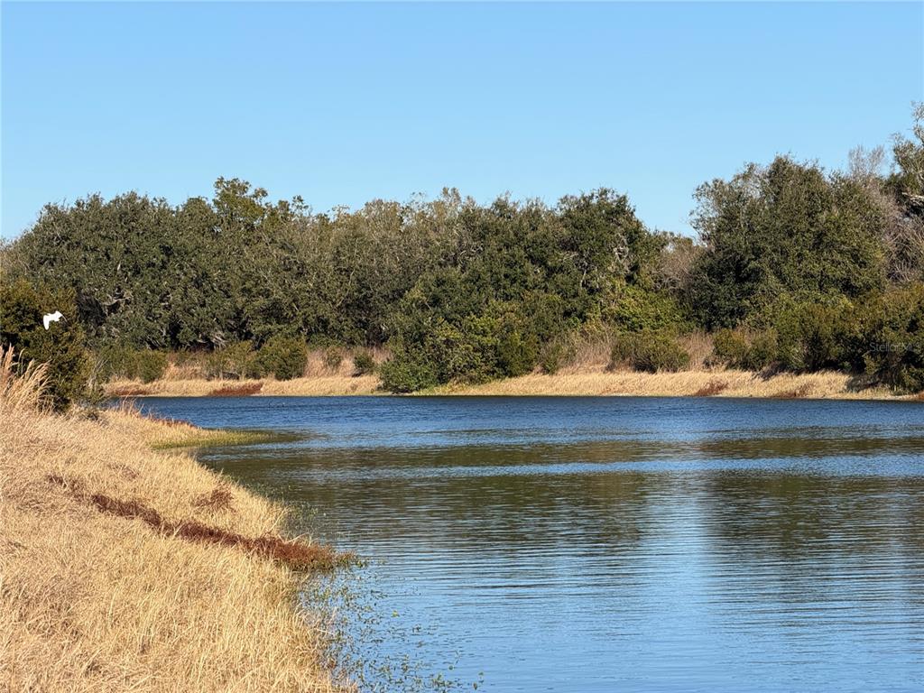 100AC NE HWY 17, ARCADIA, FL — photo 3 of 26