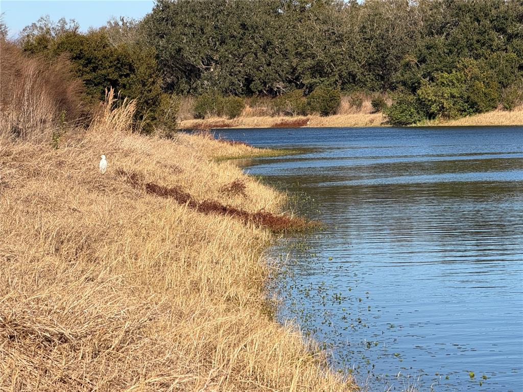 100AC NE HWY 17, ARCADIA, FL — photo 4 of 26