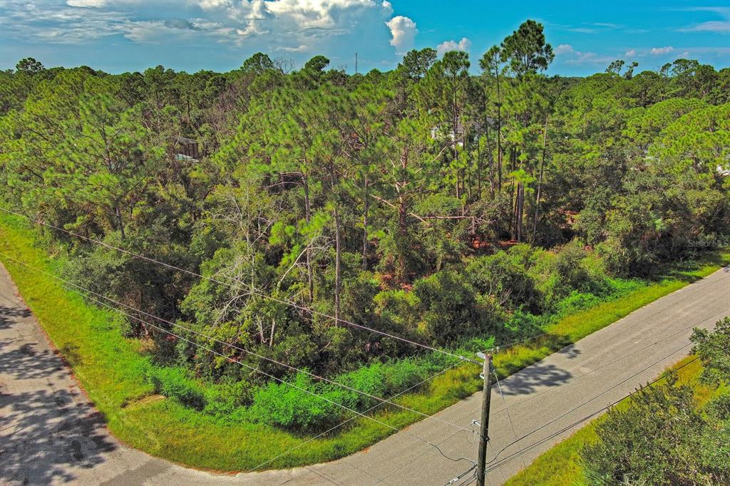 An aerial view of a wooded, undeveloped corner lot bordered by two paved roads — CASANOVA AVENUE, NORTH PORT, FL
