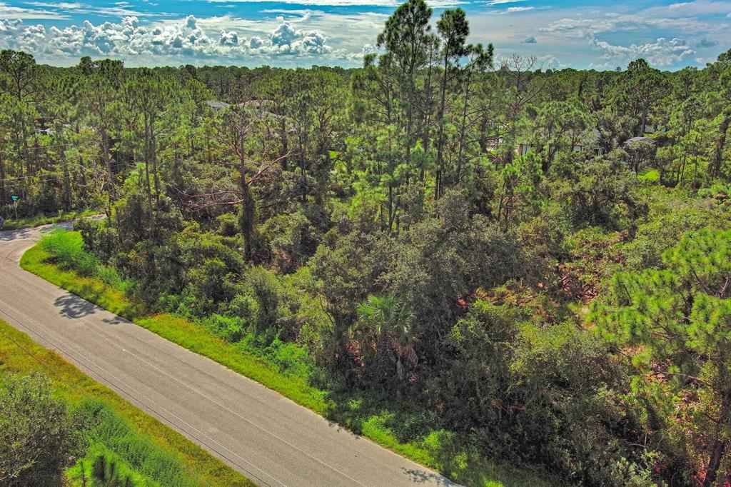An aerial view shows a paved road bordering a wooded lot with dense trees and vegetation — CASANOVA AVENUE, NORTH PORT, FL