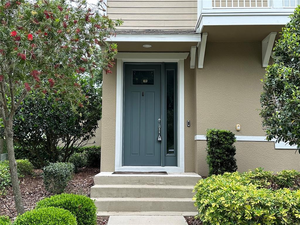 A gray front door with a sidelight is centered at the top of concrete steps — 527 PIAZZA POINT, OVIEDO, FL