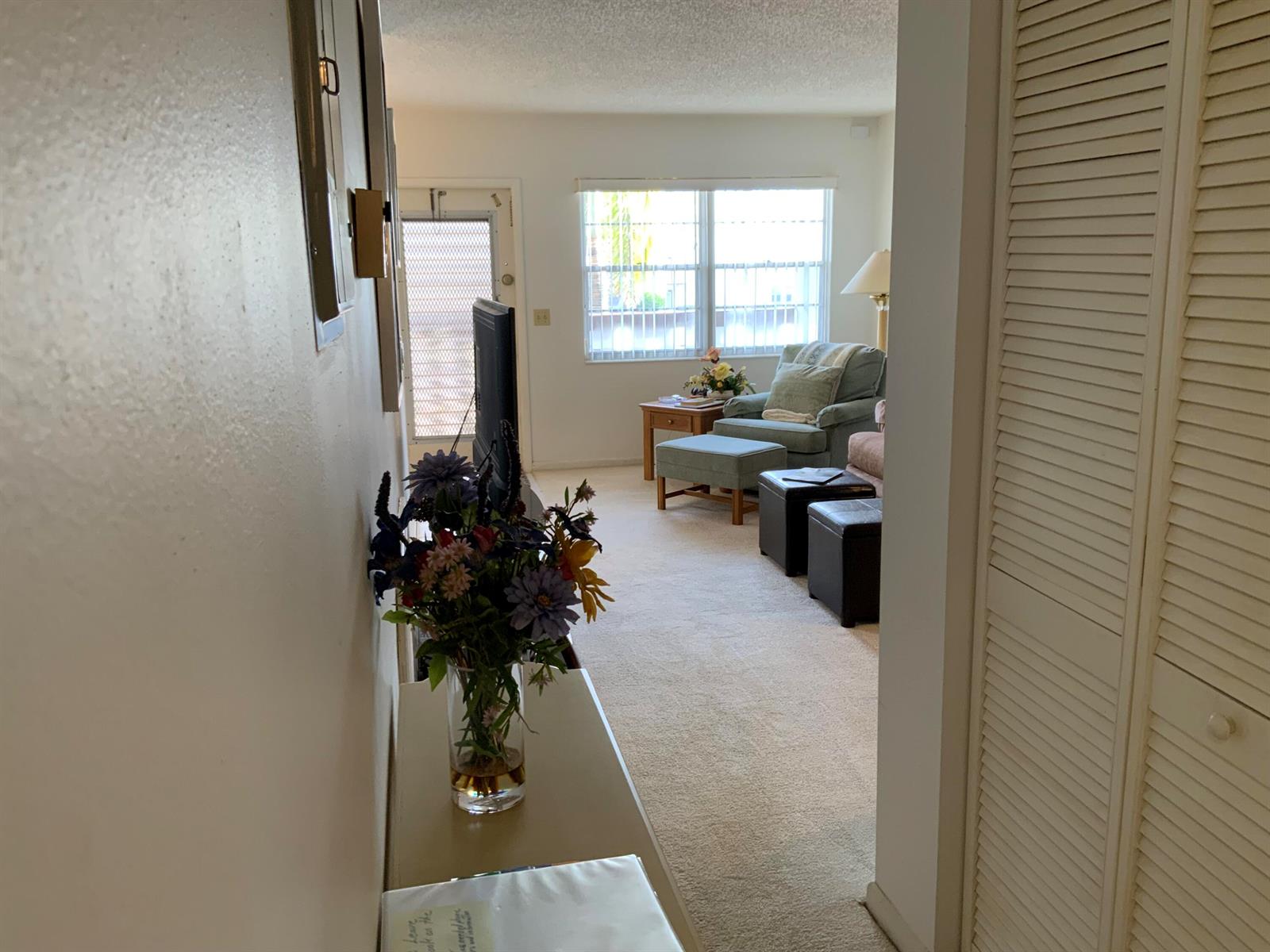 A view from a hallway into a living room with carpeted floors and a window — 2050 Hythe C, Boca Raton FL 33434, BOCA RATON, FL