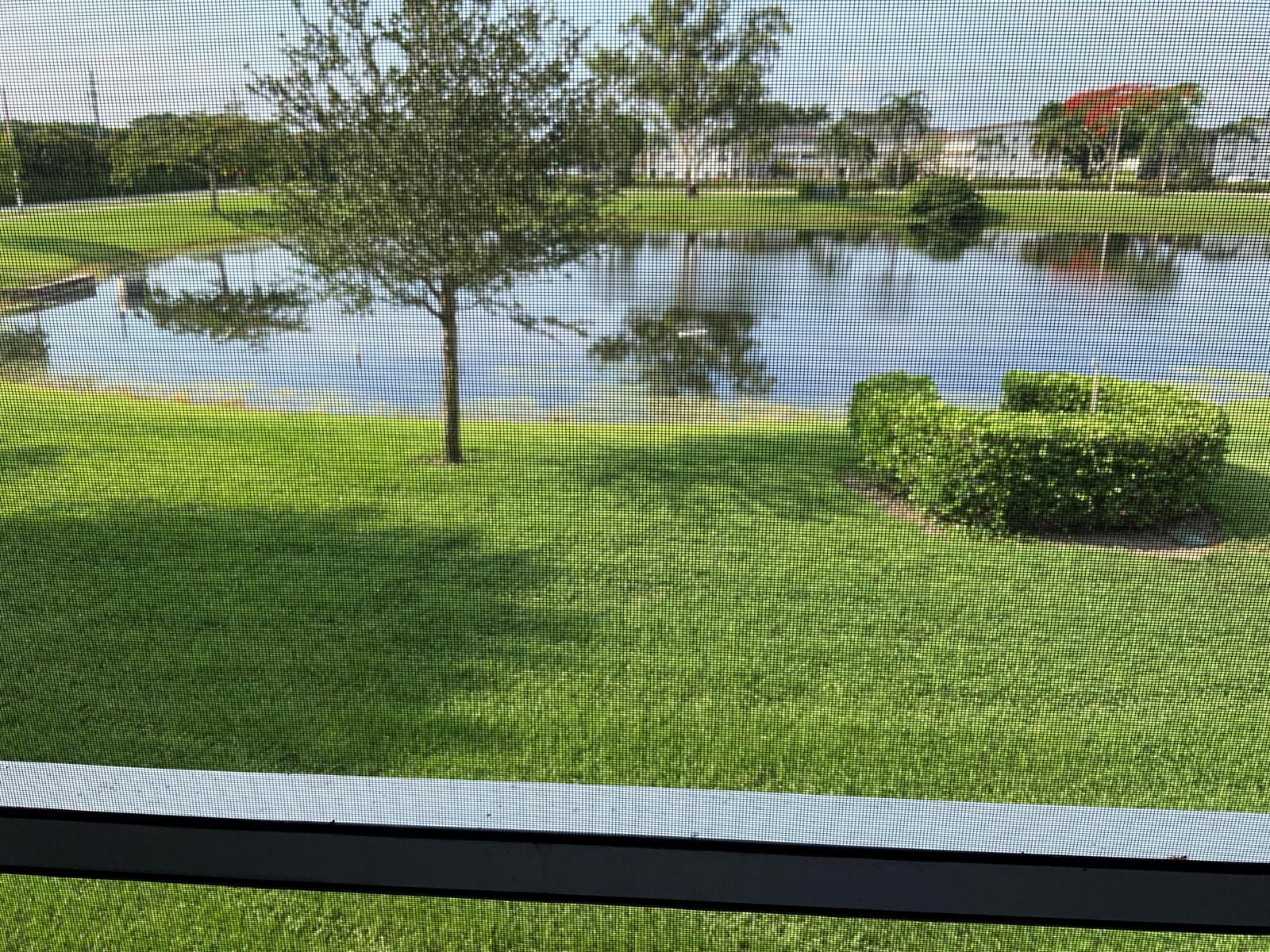 A view of a grassy lawn, a small pond, and trees seen through a window screen — 2050 Hythe C, Boca Raton FL 33434, BOCA RATON, FL