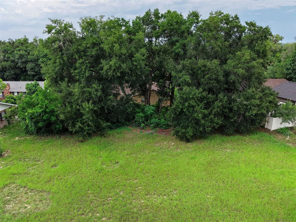 A large, grassy lot features a dense cluster of mature trees obscuring a residential house — SAIL FISH AVENUE, FRUITLAND PARK, FL