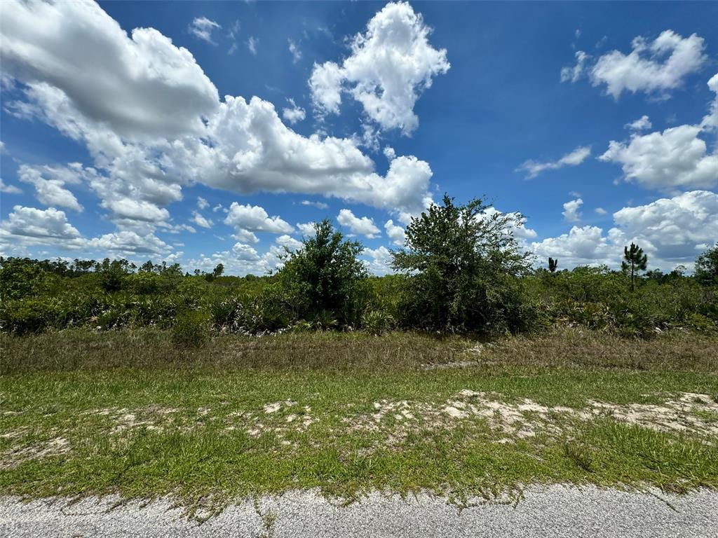 A grassy, undeveloped lot with scattered trees and shrubs under a bright, cloudy sky — Lot #3 MEADOWLARK BOULEVARD, INDIAN LAKE ESTATES, FL